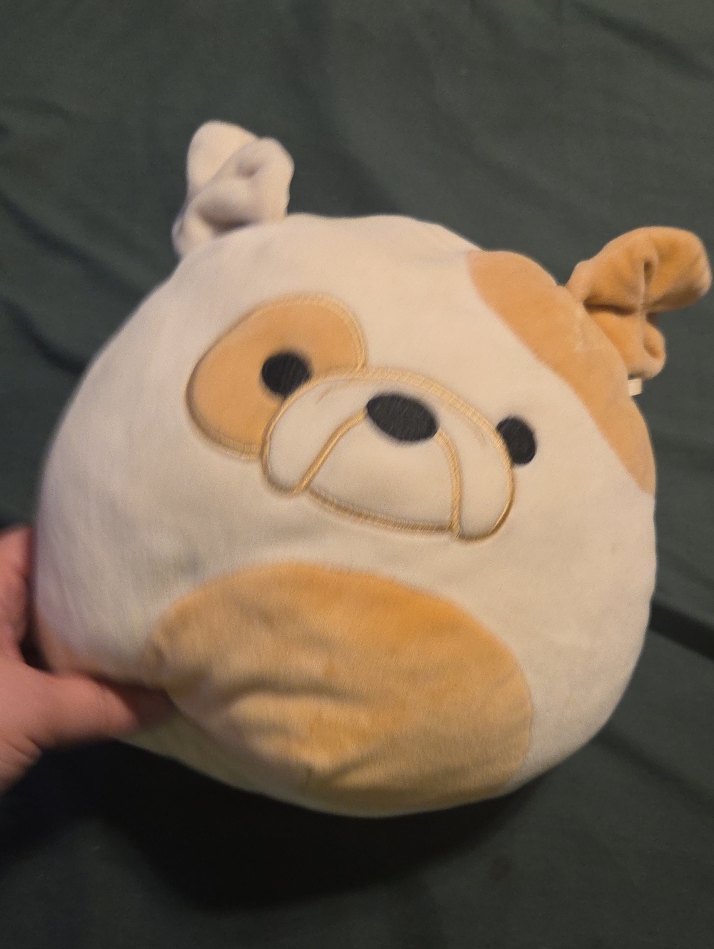 Squishmallows‎ Cream and Tan Plush Bulldog